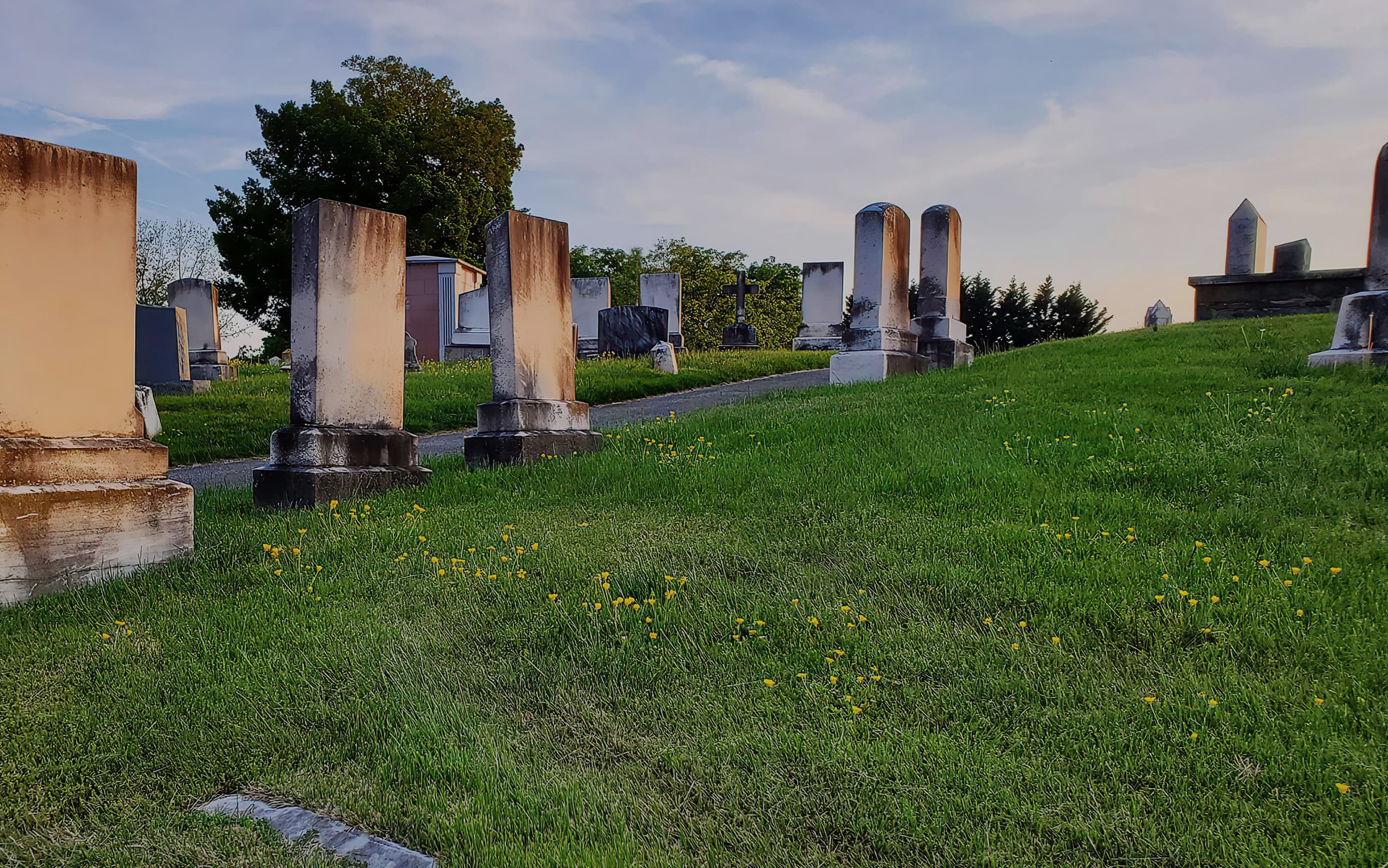 Photo with a view of Westminster Cemetery