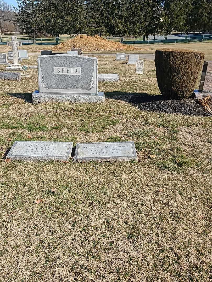 Odelle M. Flook's grave. Photo 2