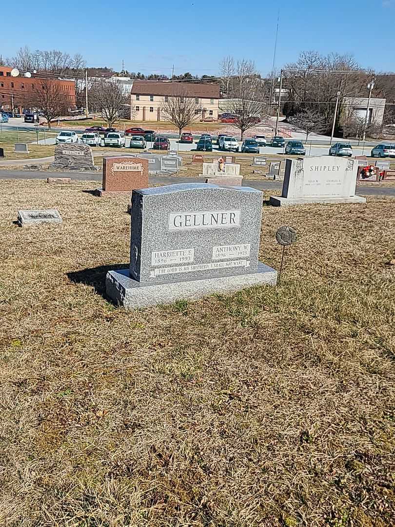 Anthony W. Gellner's grave. Photo 2