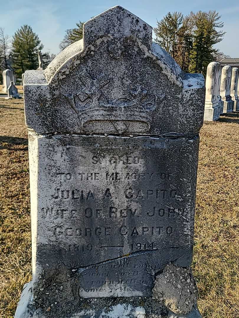 Julia A. Capito's grave. Photo 3