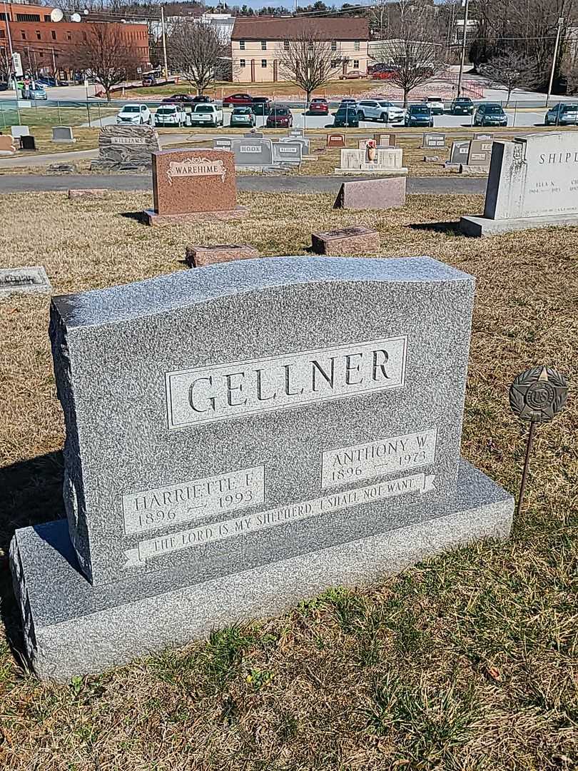 Anthony W. Gellner's grave. Photo 1