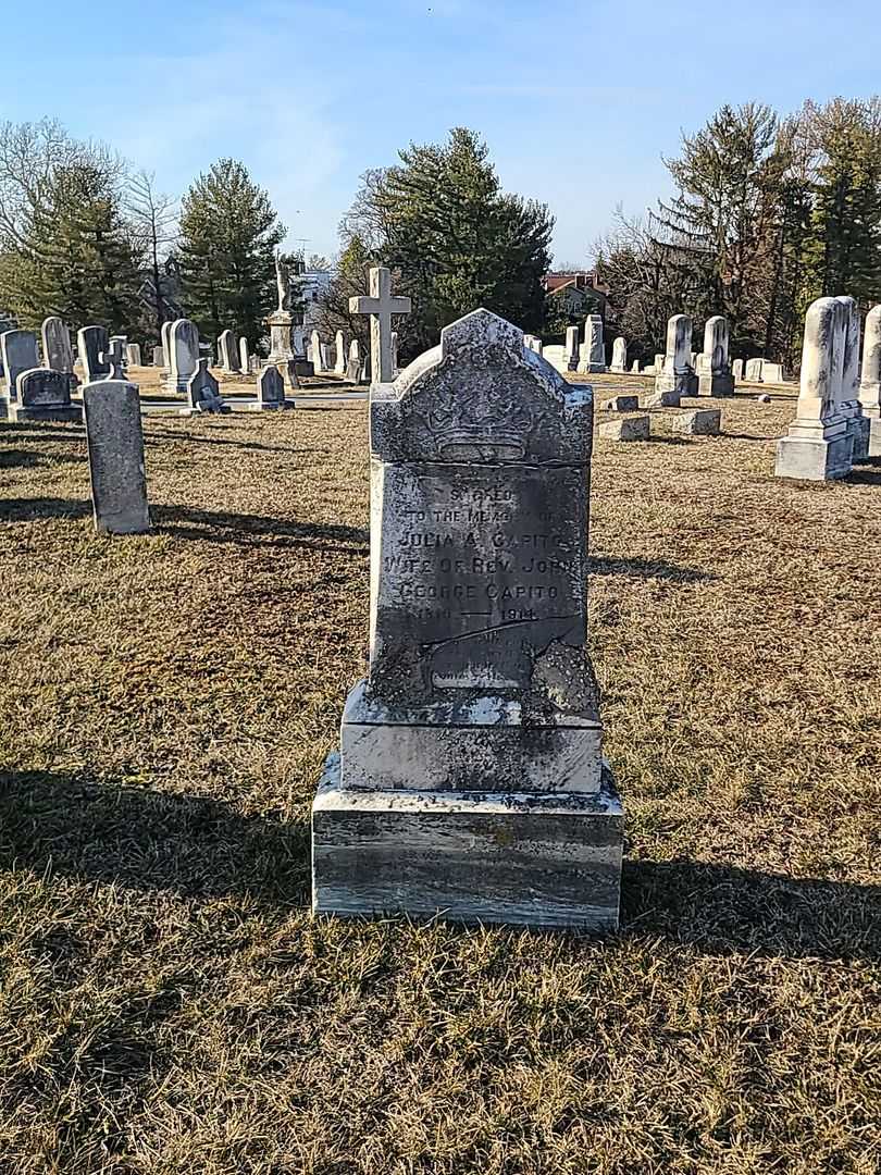 Julia A. Capito's grave. Photo 2