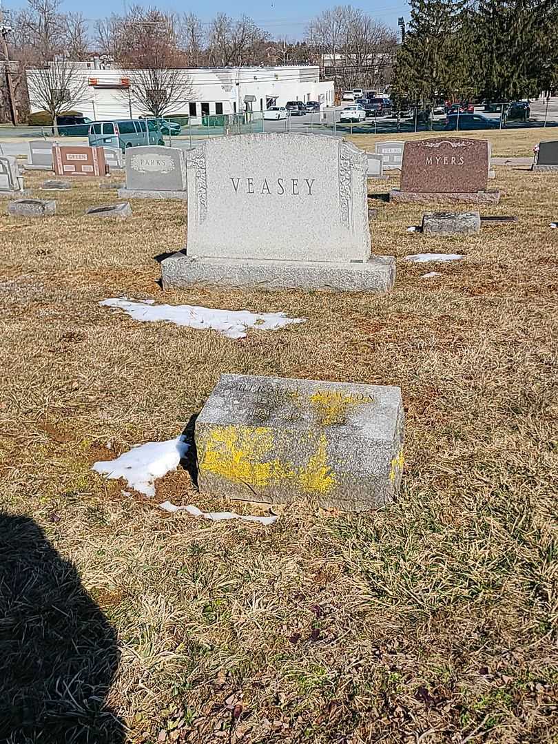 Herbert Newton Veasey's grave. Photo 2