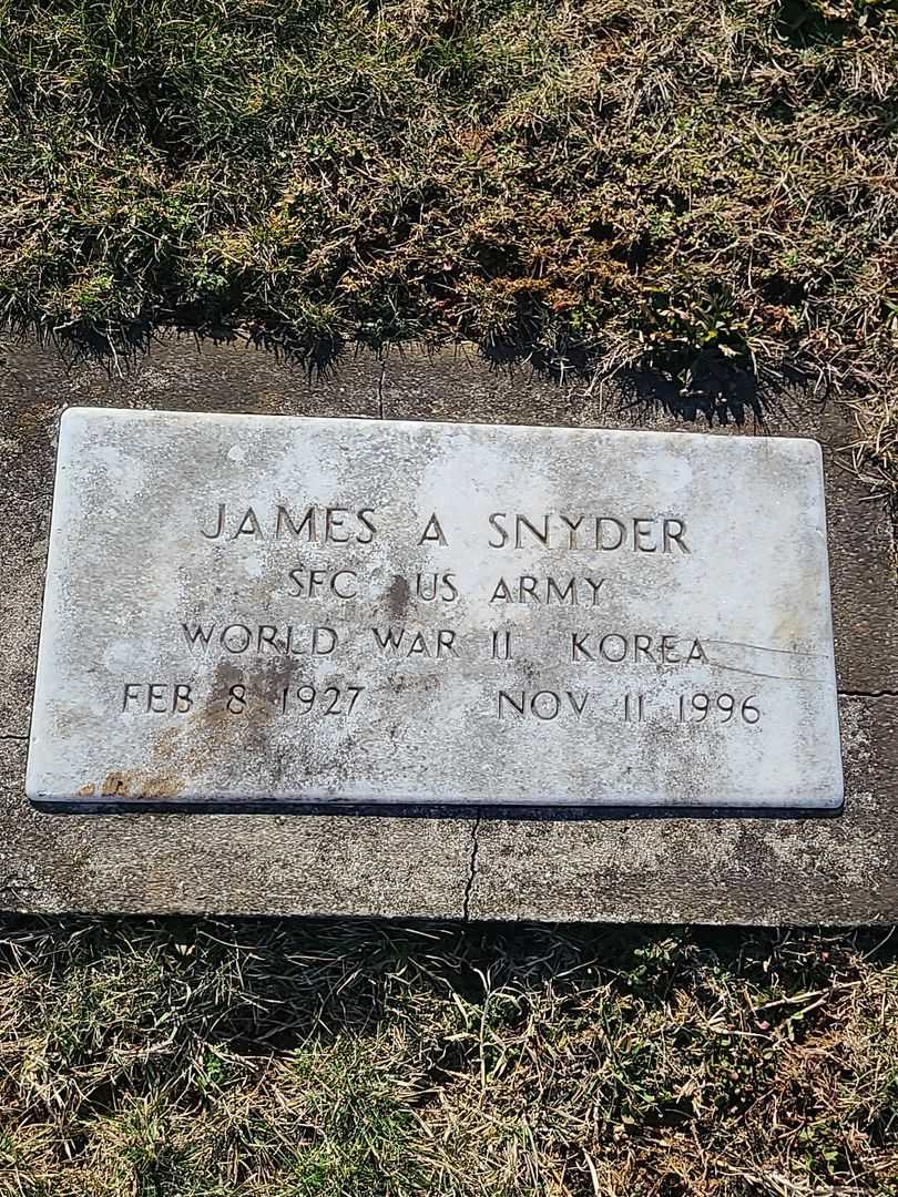 James Abram Snyder's grave. Photo 3