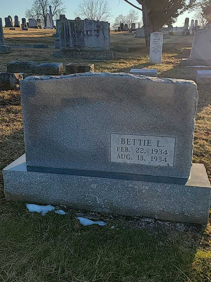 John D. Harris's grave. Photo 1