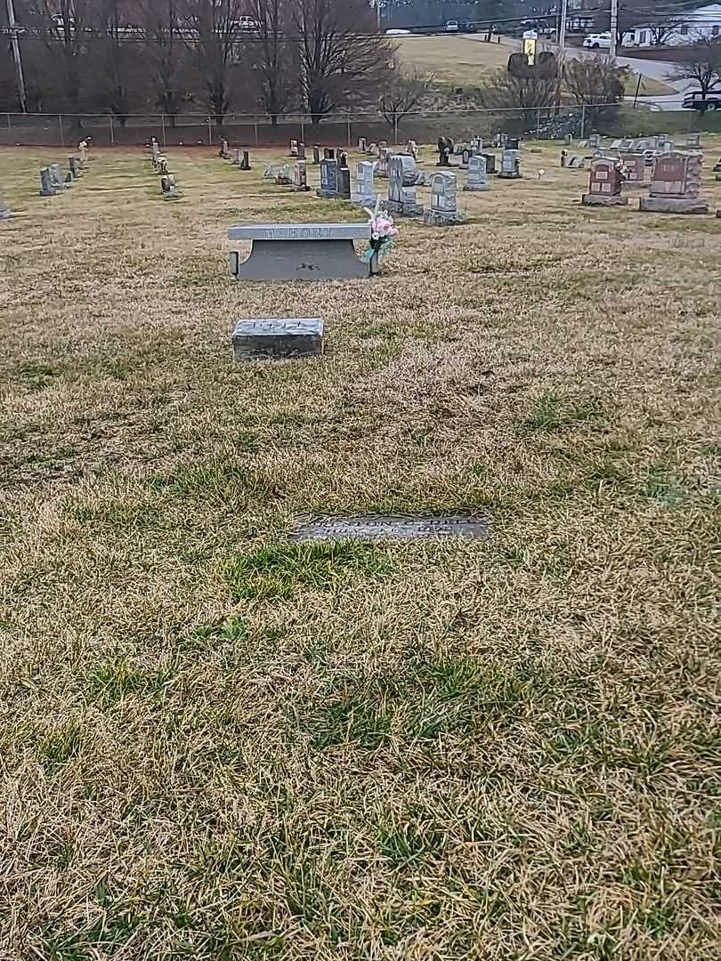 Preston C. Dell's grave. Photo 2