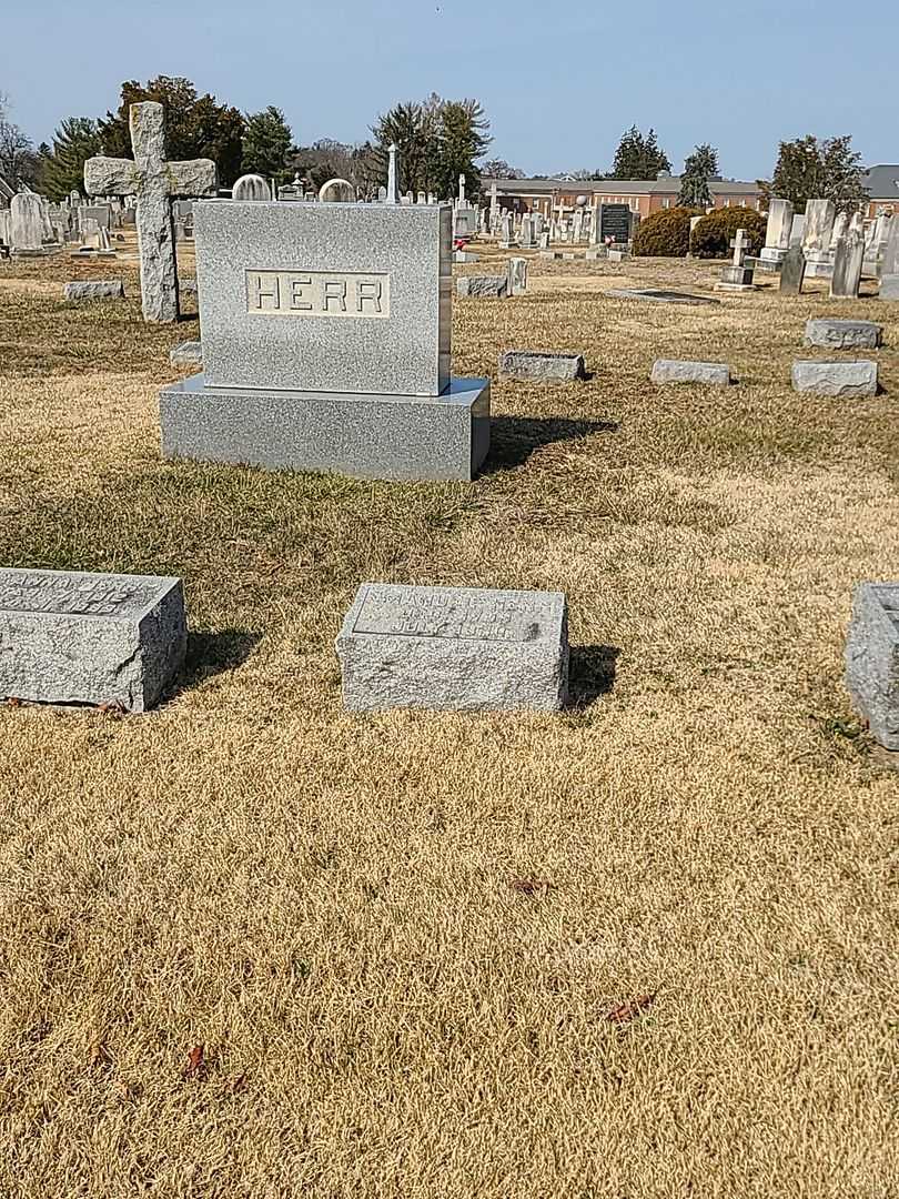 Emanuel Herr's grave. Photo 2