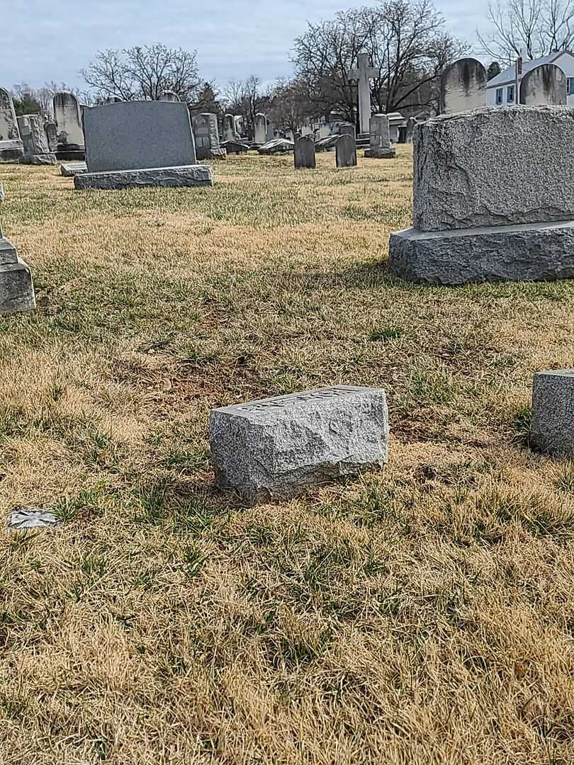 Walter S. Zepp's grave. Photo 2