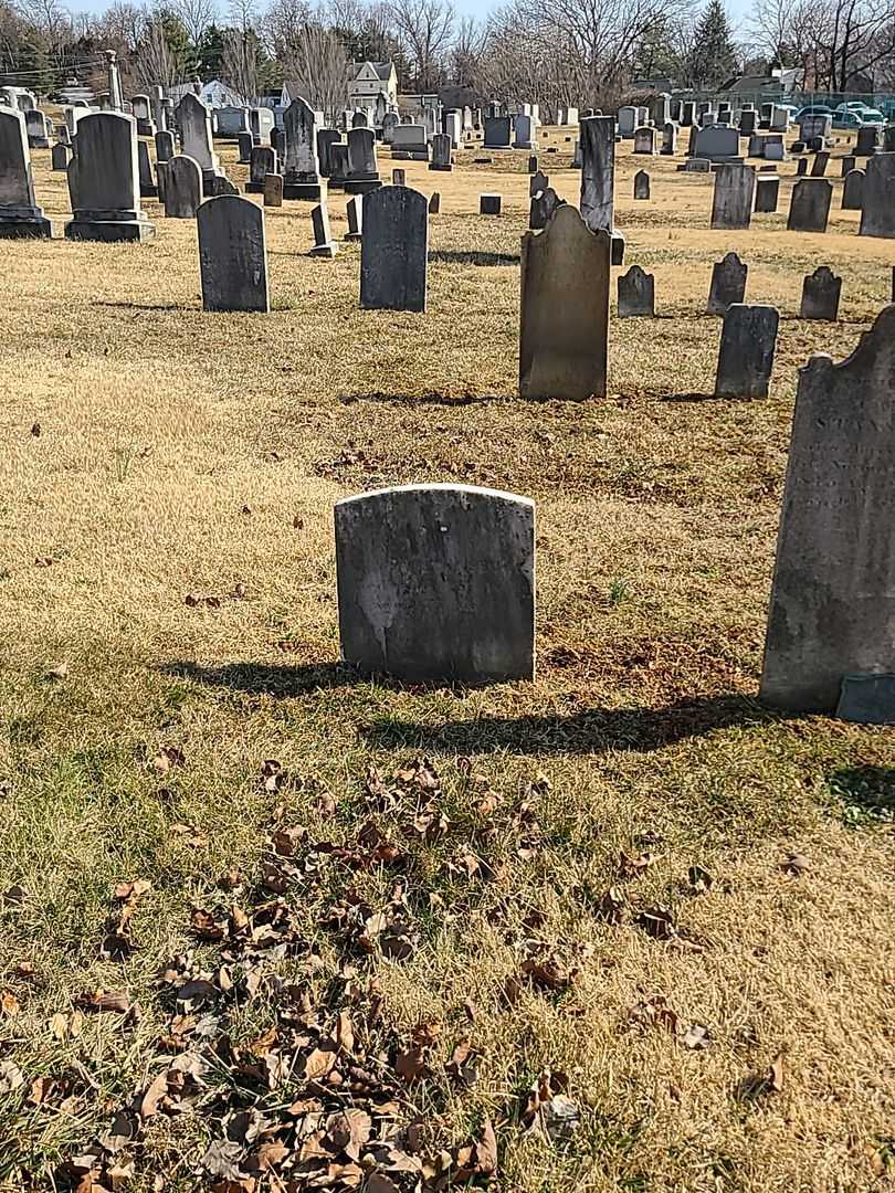 Joshua Stansbury's grave. Photo 2
