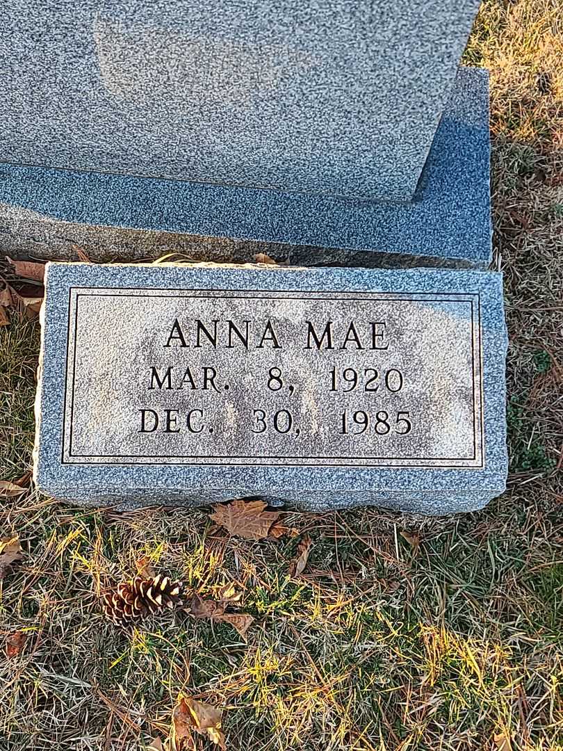 Anna Mae Haines's grave. Photo 3