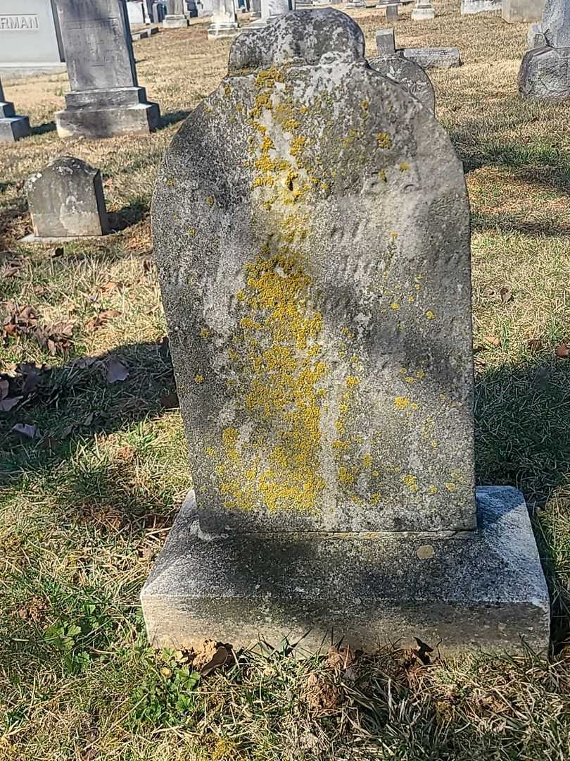 Theodore A. Baughman's grave. Photo 3