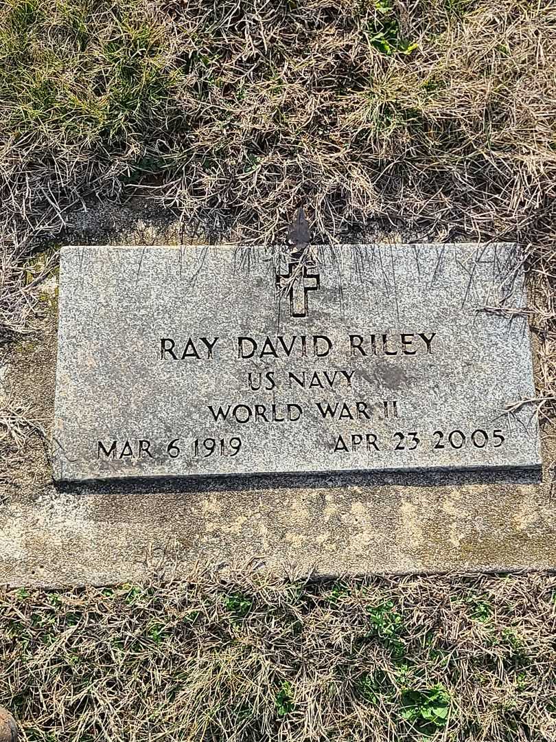 Ray David Riley's grave. Photo 1