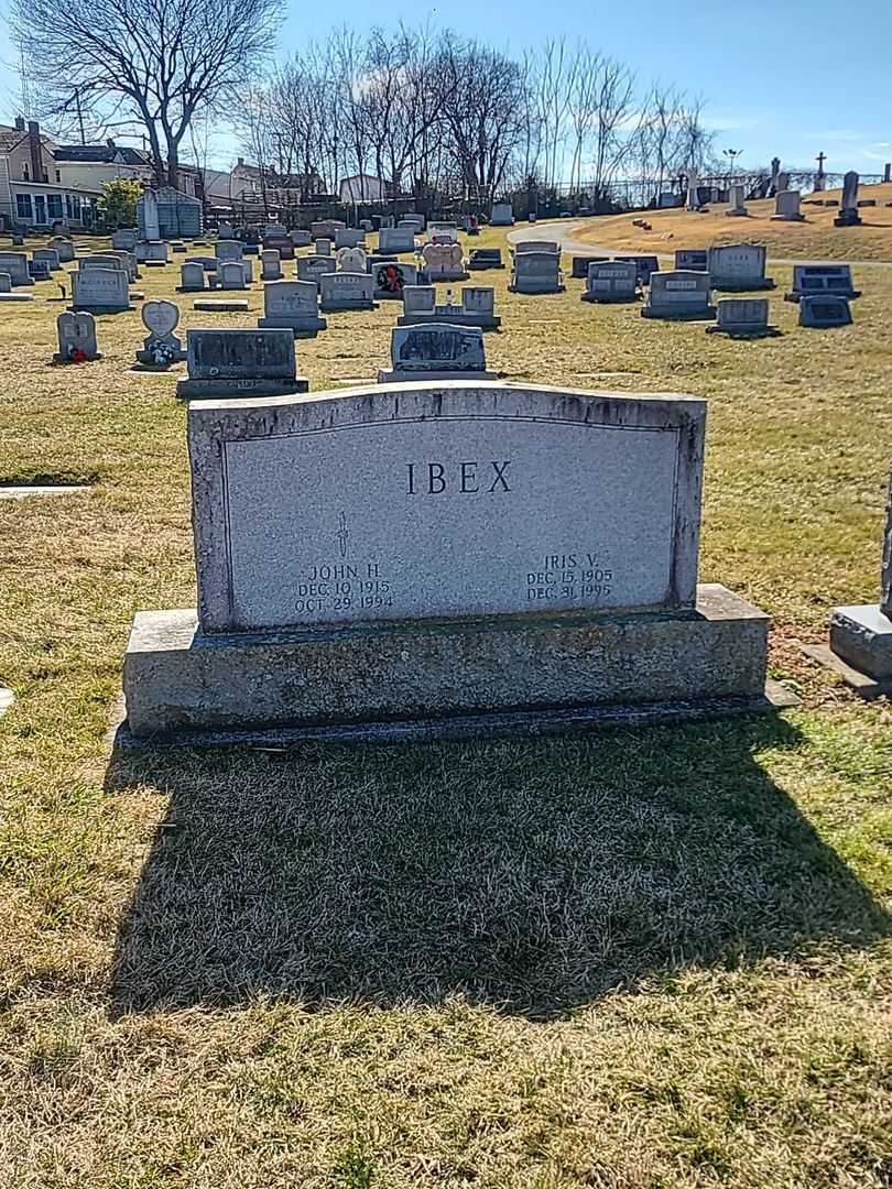 John H. Ibex's grave. Photo 2