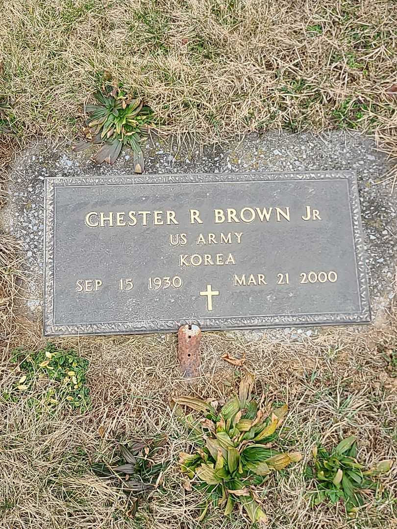 Chester R. Brown Junior's grave. Photo 1