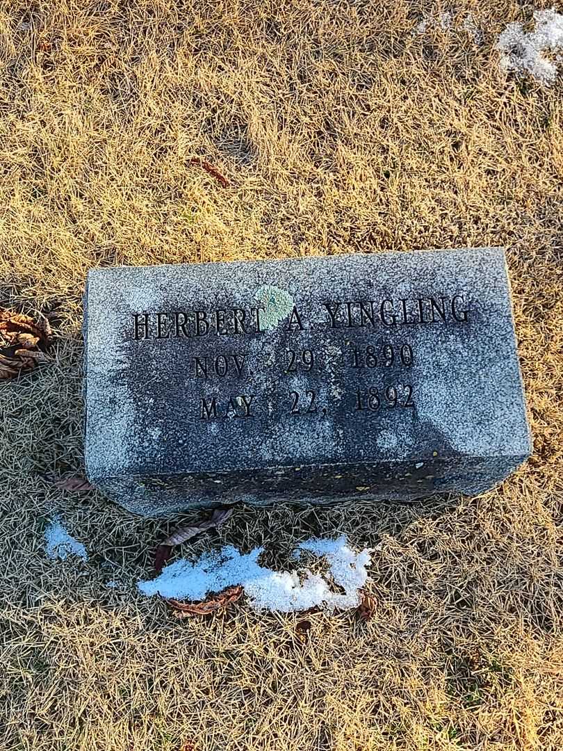 Herbert A. Yingling's grave. Photo 3