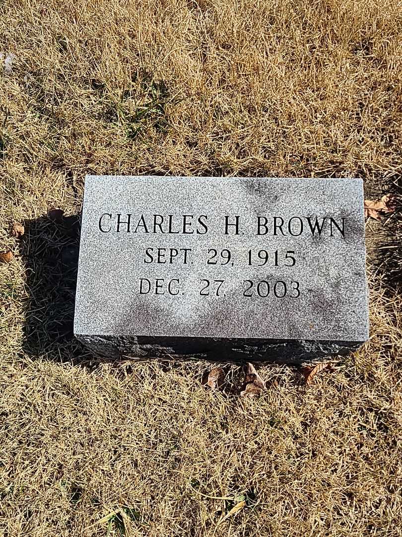 Charles H. Brown's grave. Photo 3