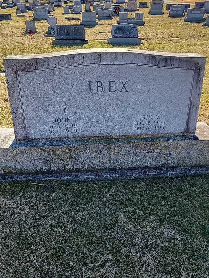 John H. Ibex's grave. Photo 1