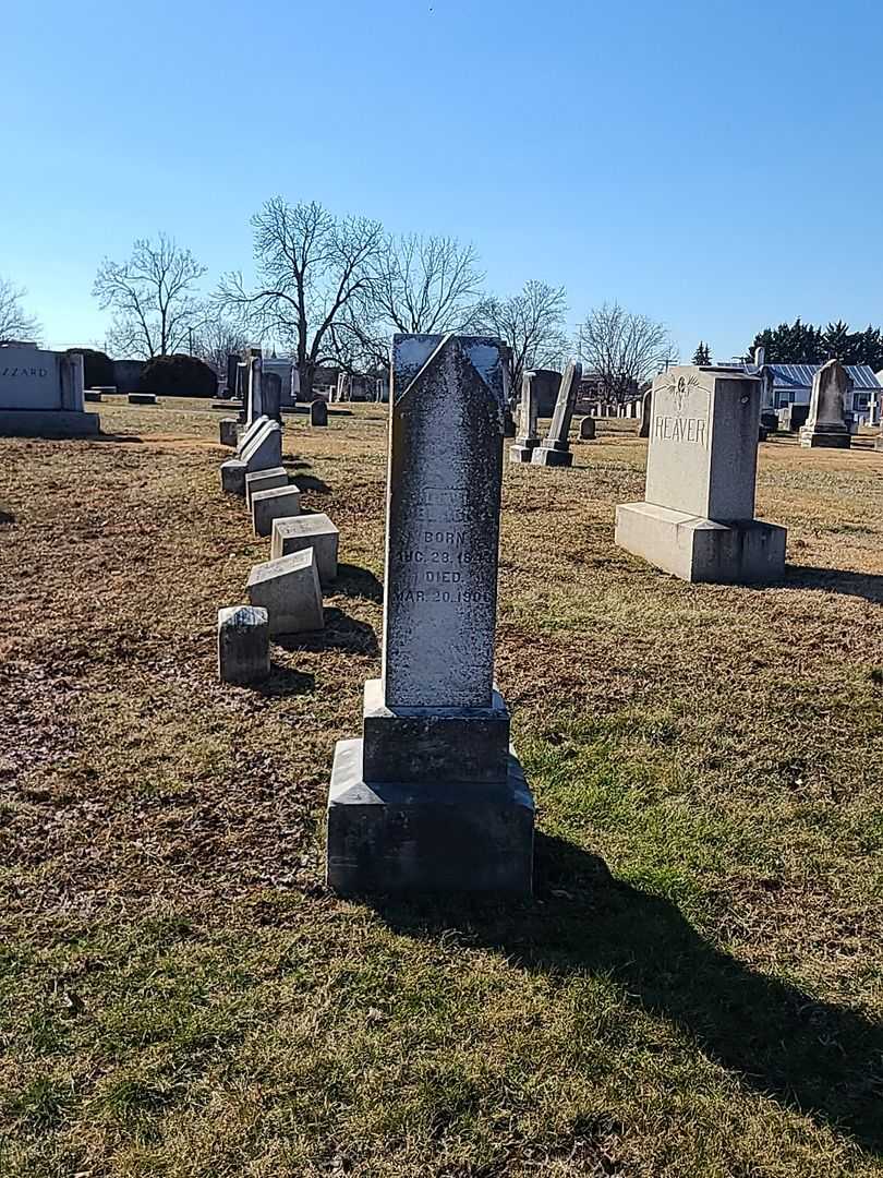 Levi Black's grave. Photo 2