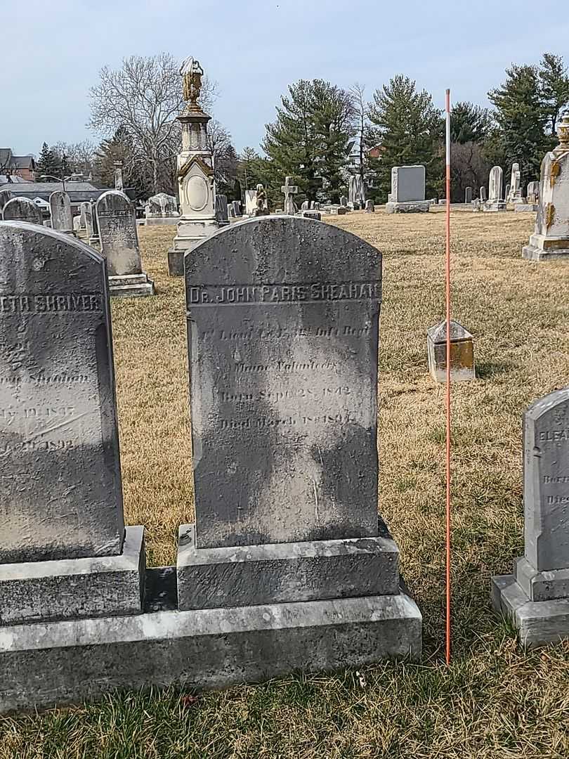 Doctor John Paris Sheahan's grave. Photo 1