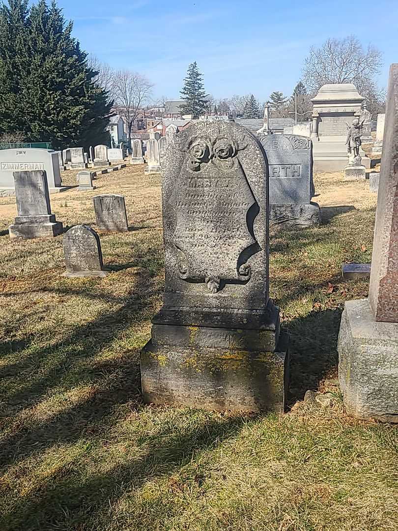 Mary V. Baughman's grave. Photo 2
