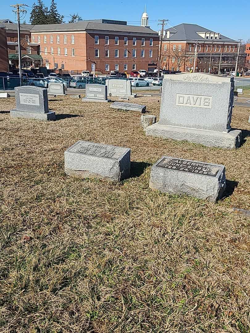 Fannie B. Davis's grave. Photo 2