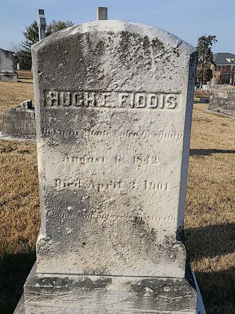 Alphonsa E. Fiddis's grave. Photo 1