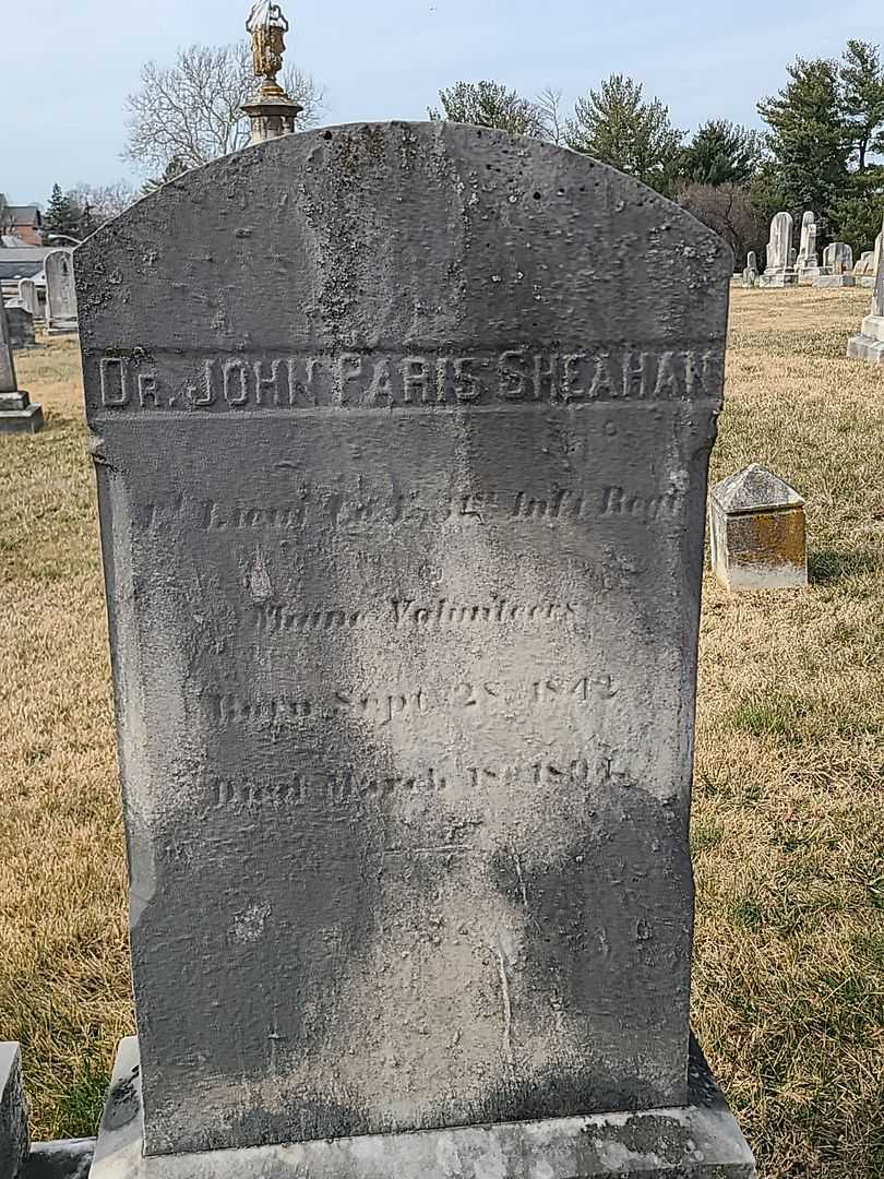 Doctor John Paris Sheahan's grave. Photo 2