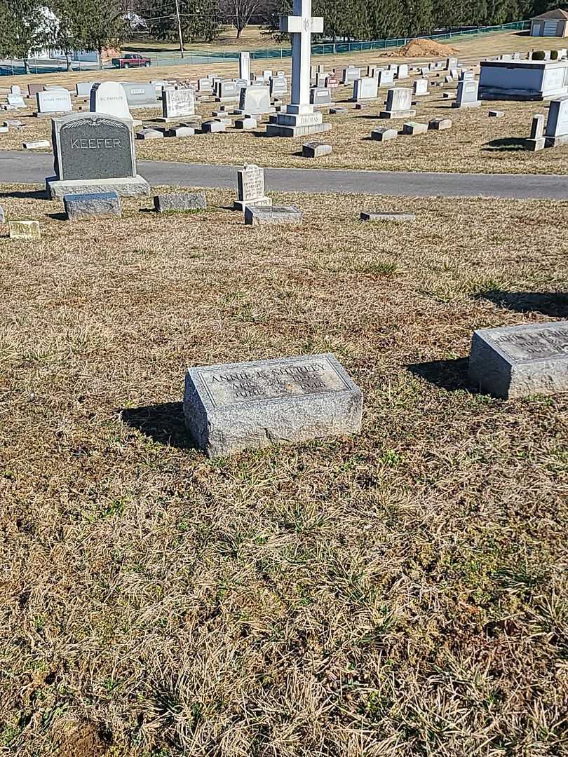 Annie E. Sherfey's grave. Photo 2