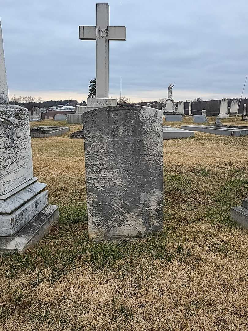 Susanna Stevenson's grave. Photo 2