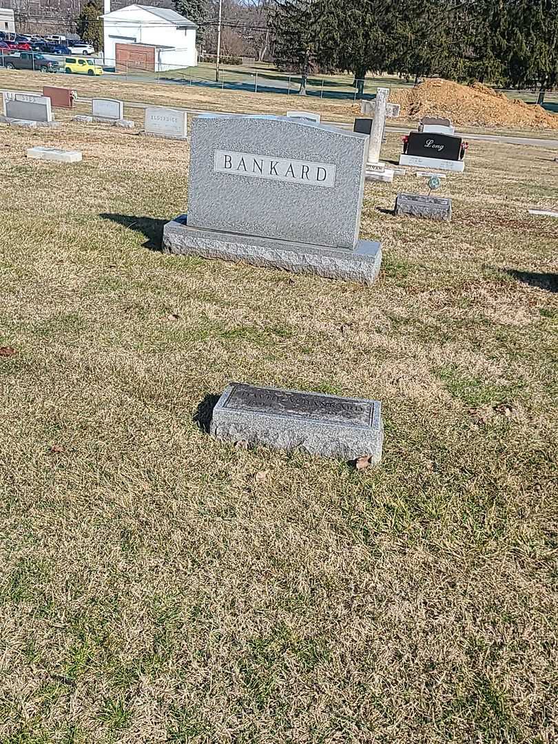 David A. Bankard's grave. Photo 2
