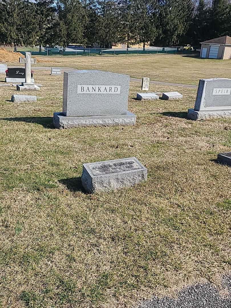 Treva P. Bankard's grave. Photo 2