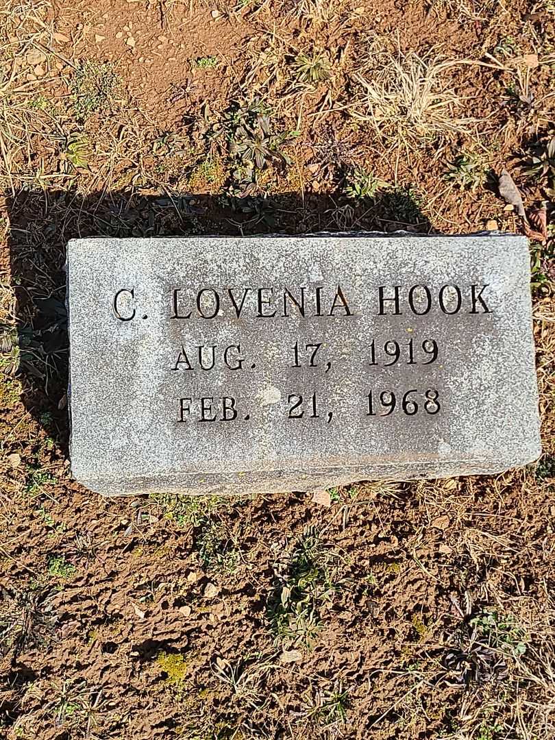 C. Lovenia Hook's grave. Photo 3