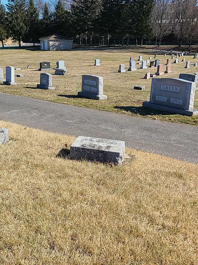 Lillie A. Brown's grave. Photo 2