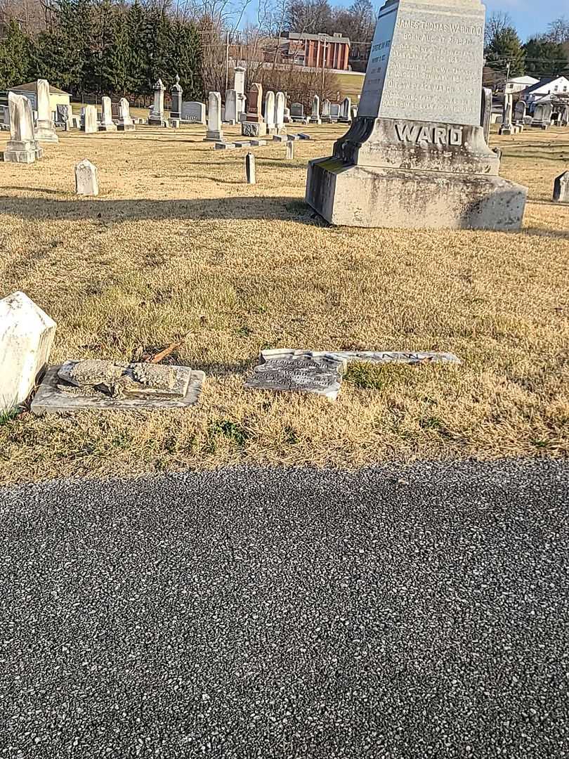 Clara Virginia Ward's grave. Photo 2