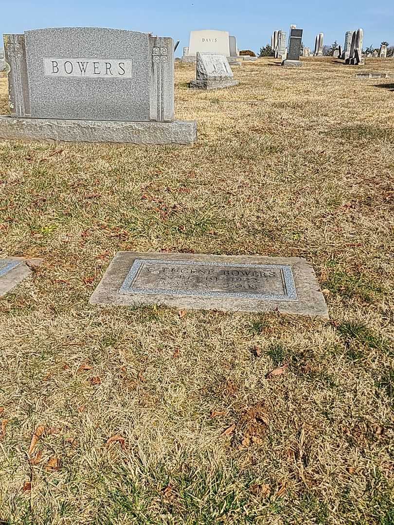 C. Eugene Bowers's grave. Photo 2