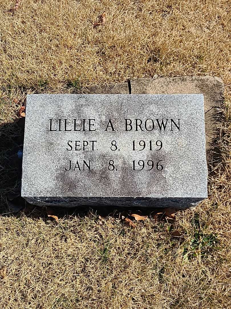 Lillie A. Brown's grave. Photo 3