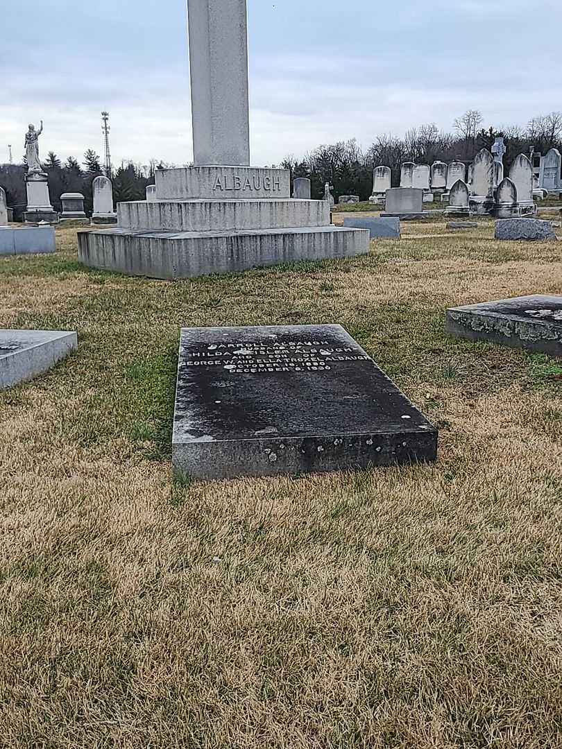 Carroll Albaugh's grave. Photo 2