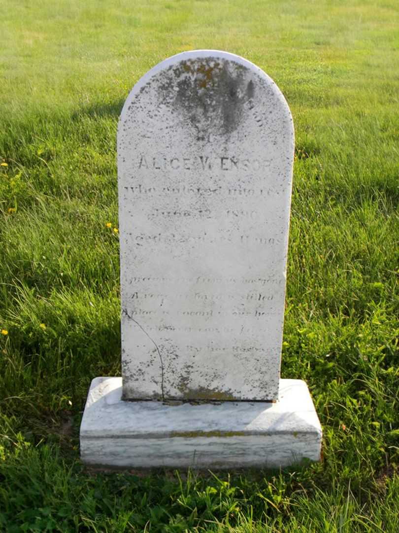 Alice V. Ensor's grave. Photo 3