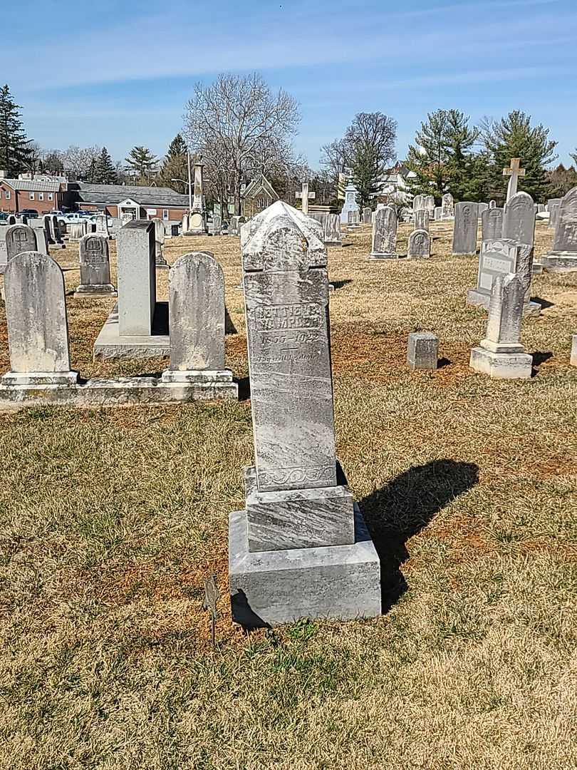 Nettie C. Wampler's grave. Photo 2