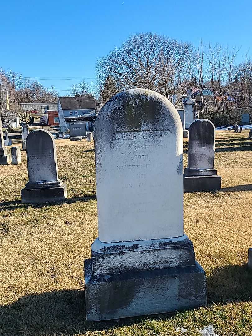 Sarah A. Gehr's grave. Photo 2