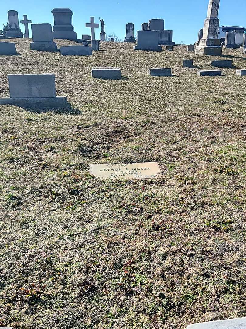 Arthur R. Moser's grave. Photo 2