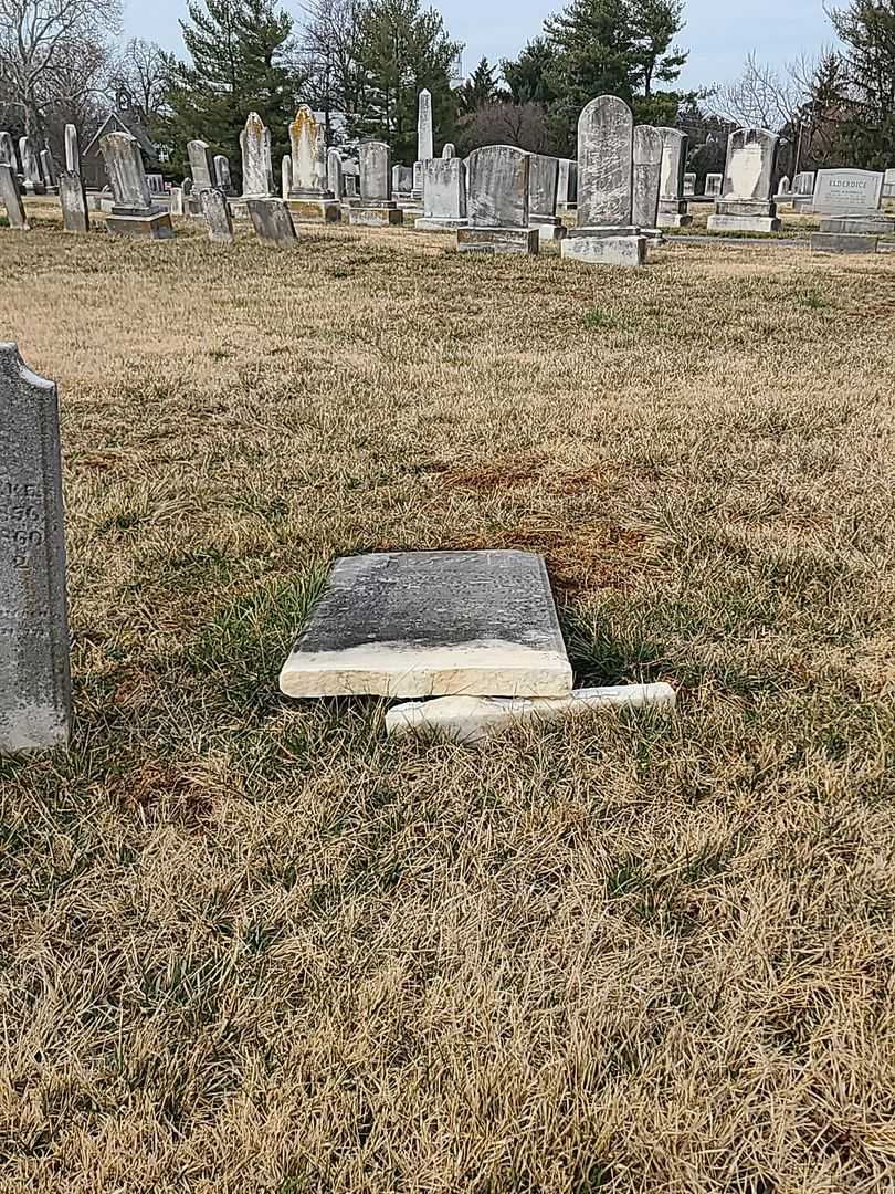 Sarah Julia Parke's grave. Photo 1