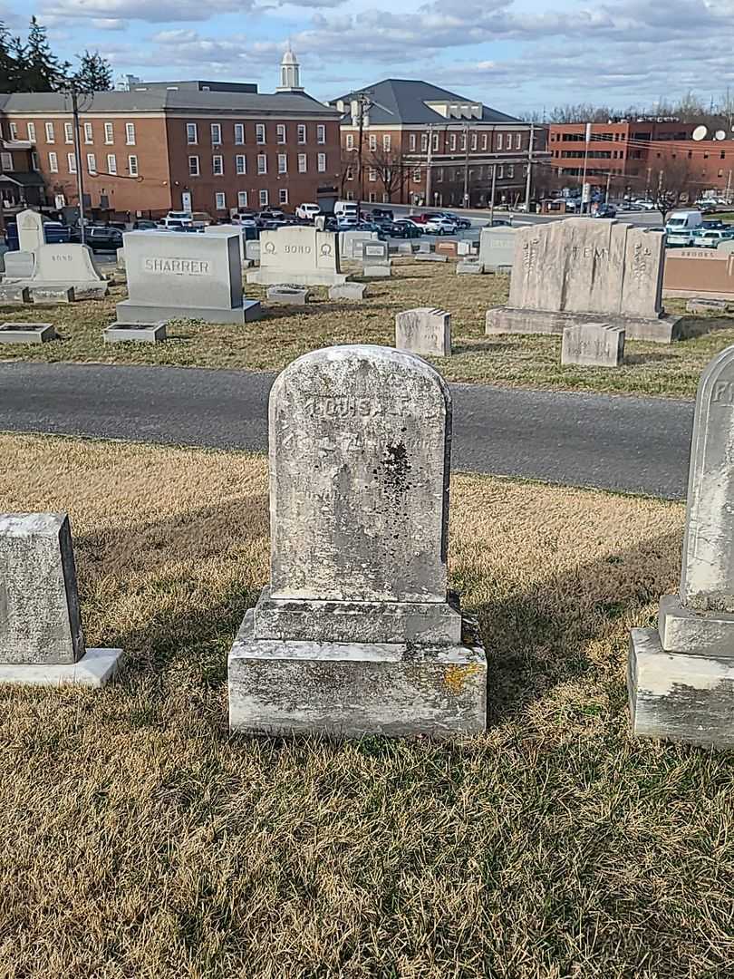 Louisa F. Dinst's grave. Photo 2