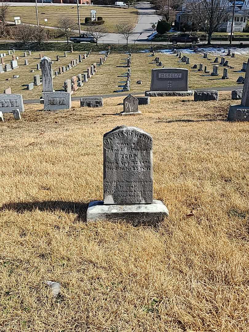 Raymond Henry Zepp's grave. Photo 2