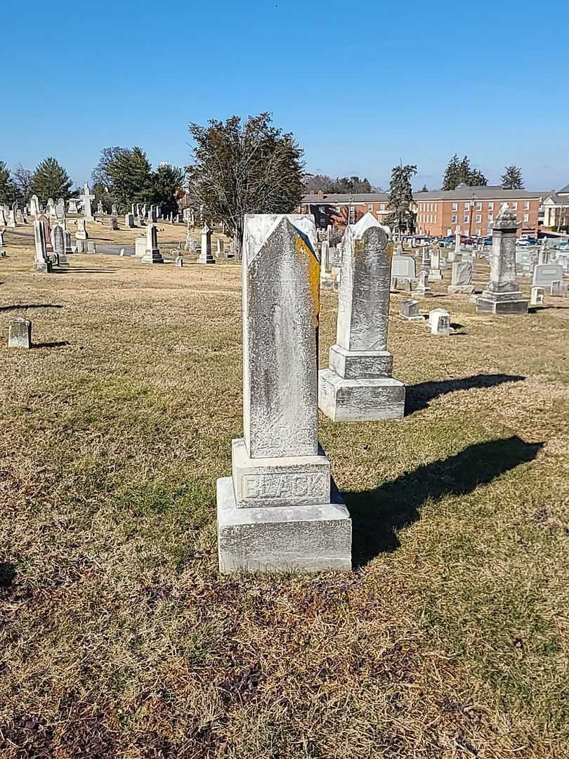 Annie Lee Vanhorn's grave. Photo 1