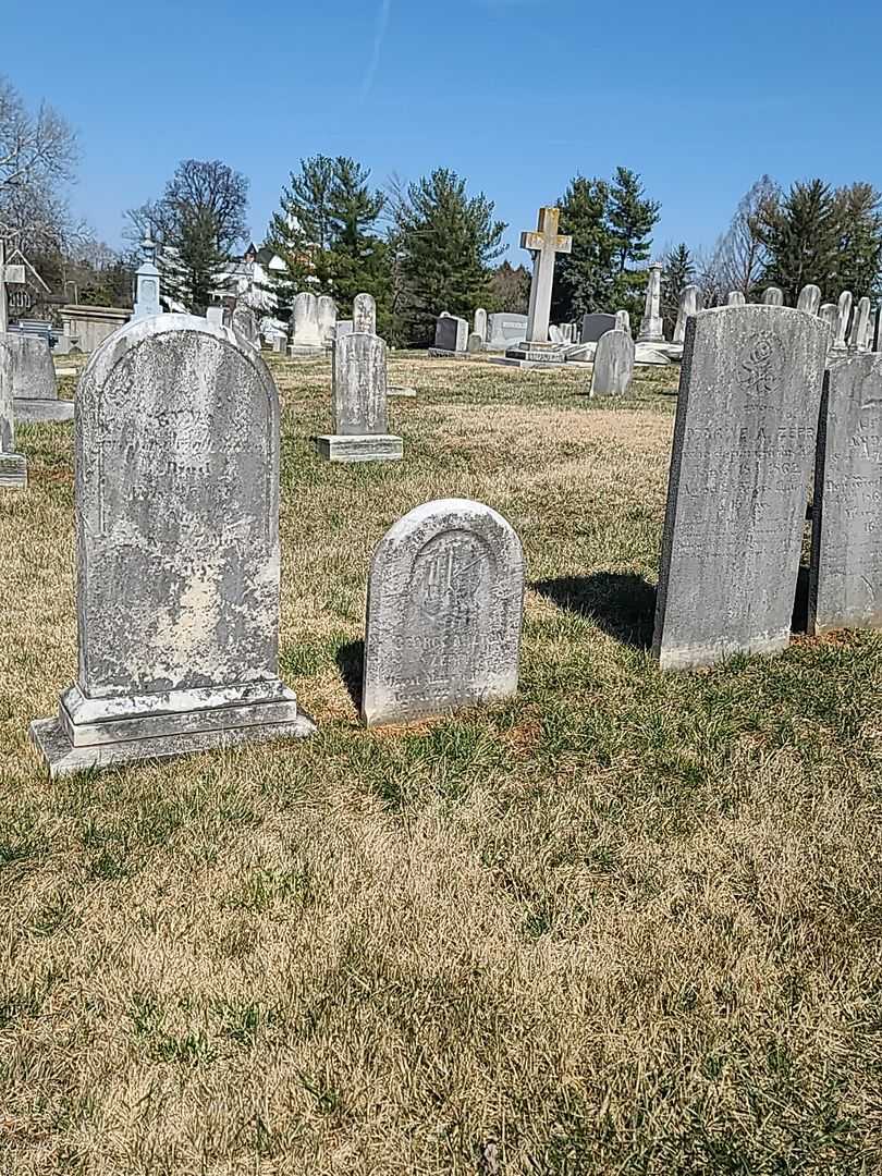 George Milton Zepp's grave. Photo 2