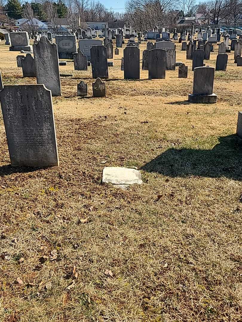 Ann L. Shreev's grave. Photo 2