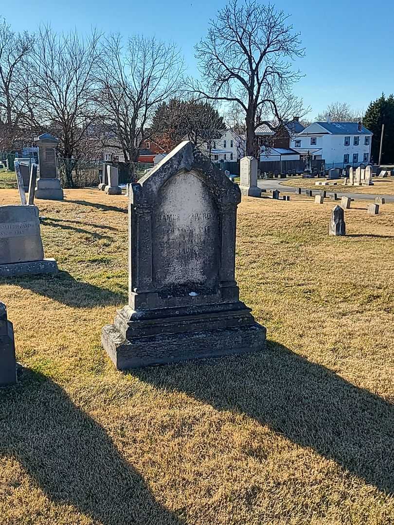 James Rippard's grave. Photo 2