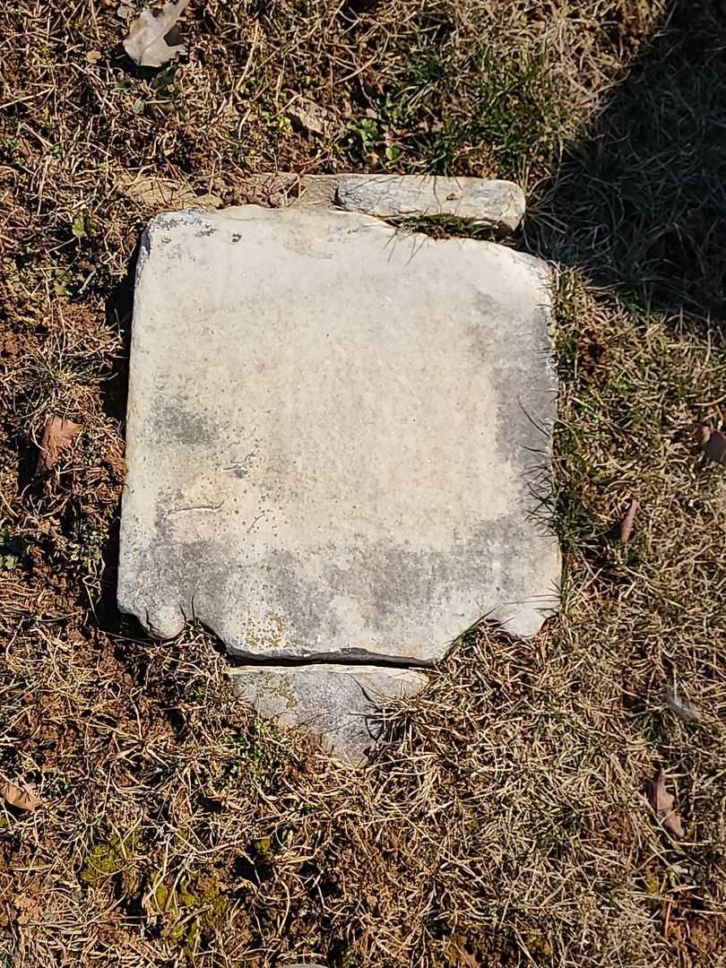 Ann L. Shreev's grave. Photo 3