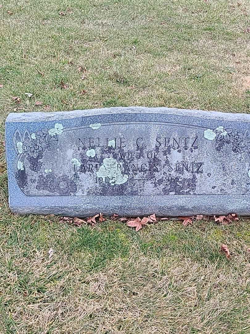 Nellie C. Sentz's grave. Photo 3